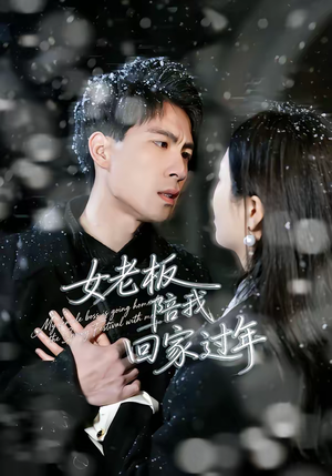 女老板陪我回家过年（40集）爆火短剧推荐