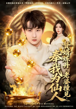 赘婿炼丹，老婆撞见，奉我为仙人（59集）评价怎么样