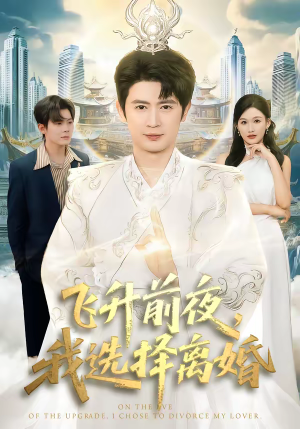 飞升前夜，我选择离婚（80集）高清无码免费看