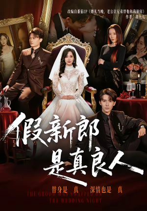 假新郎是真良人（67集）红果短剧免费看