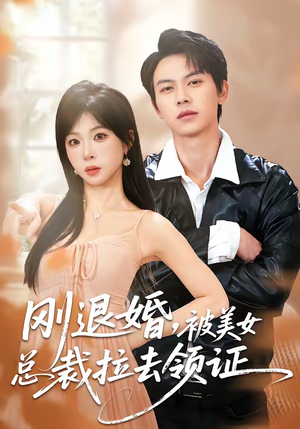 刚退婚，被美女总裁拉去领证（81集）短剧解说全集
