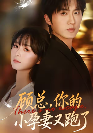 顾总，你的小孕妻又跑了（47集）短剧追不停