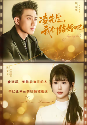 凌先生，我们结婚吧（68集）追短剧看全集