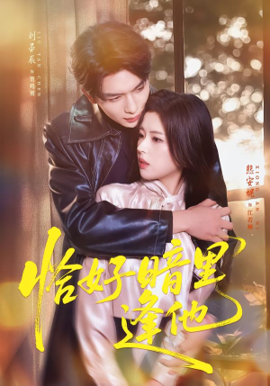 恰好暗里逢他（66集）全集免费观看