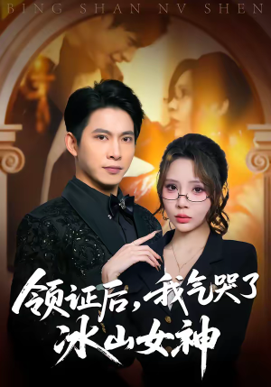领证后，我气哭了冰山女神（60集）短剧免费看