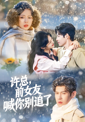 许总，前女友喊你别追了（80集）精彩短剧看全集