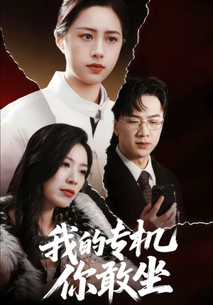 我的专机你敢坐（62集）去哪里看