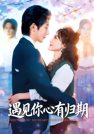 遇见你心有归期（81集）网上可以看吗