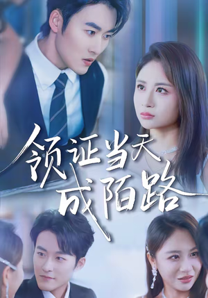 领证当天成陌路（39集）在哪看