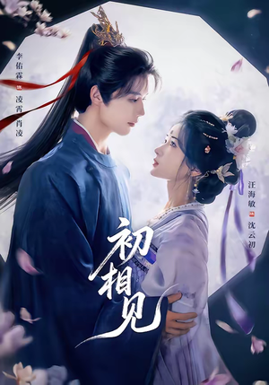 初相见（76集）在线看到大结局