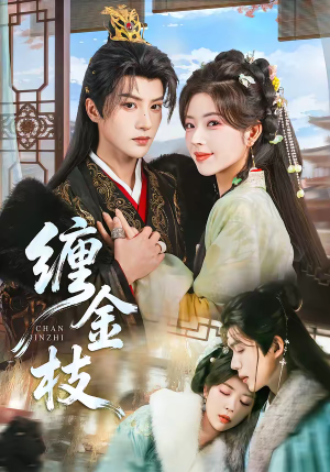 缠金枝（69集）免费短剧看全集