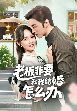 老板非要和我结婚怎么办（50集）最后的大结局