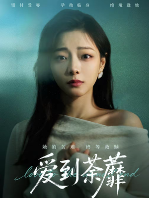 爱到荼蘼（63集）让你一口气看完