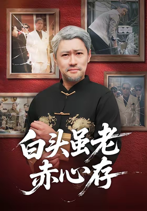 白头虽老赤心存（71集）经典老剧免费看