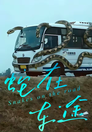 蛇在车途（34集）短剧在线观看