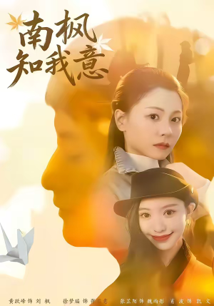 南枫知我意（41集）好看的短剧推荐