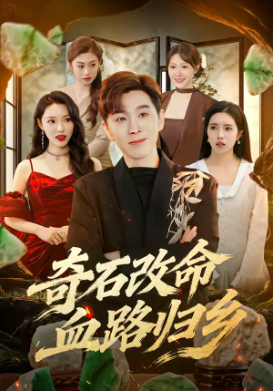 奇石改命血路归乡（81集）精彩片段