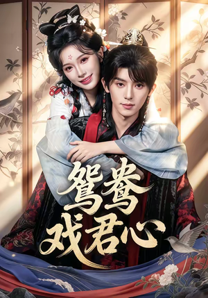 鸳鸯戏君心（60集）最火短剧推荐