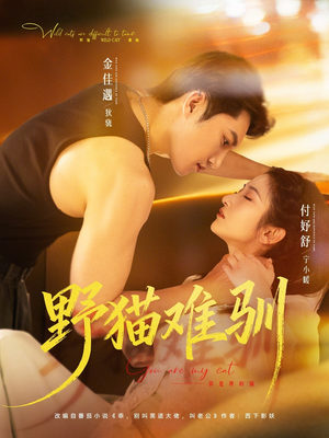 野猫难驯（73集）甜宠短剧推荐