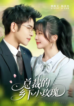 总裁的乡下小玫瑰（102集）看到了大结局