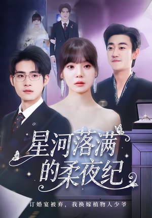 星河落满的柔夜纪（88集）免费短剧全集看