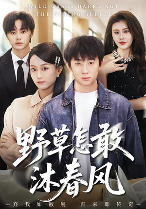 野草怎敢沐春风（61集）超爽短剧推荐