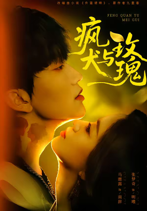 疯犬与玫瑰（80集）全剧看到大结局