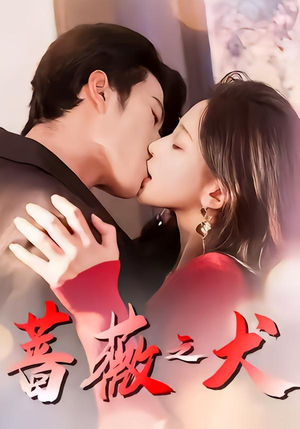 蔷薇之犬（60集）火爆短剧来袭