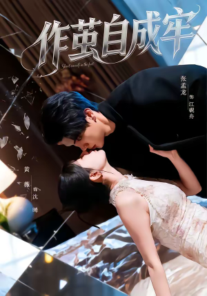 作茧自成牢（52集）全集都在这里了