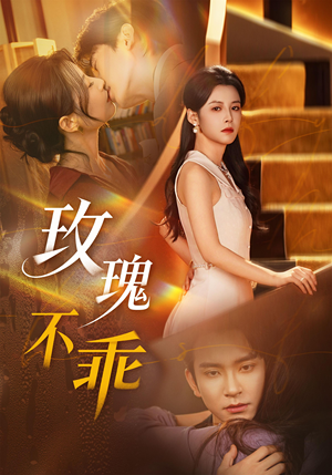 玫瑰不乖（69集）短剧小说在线看