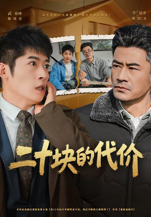 二十块的代价（64集）看精彩短剧