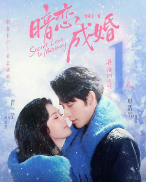 暗恋成婚（60集）超甜短剧分享