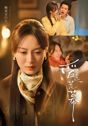 爱意荒幕（70集）经典老剧免费看