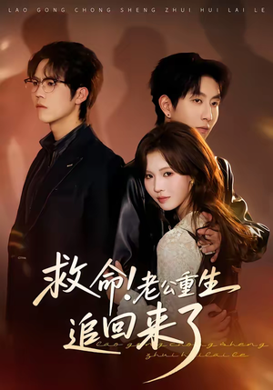 救命！老公重生追回来了（40集）短剧精彩绝伦