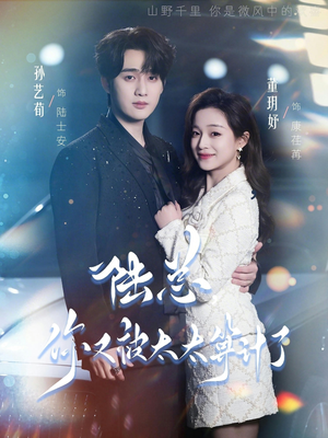 陆总，你又被太太算计了（70集）短剧在哪个平台