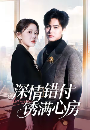 深情错付锈满心房（60集）在线看到大结局