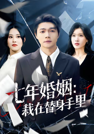 七年婚姻：栽在替身手里（80集）无需会员轻松看