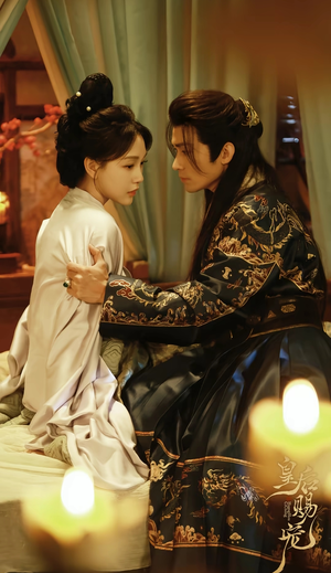 皇后赐宠（22集）经典老剧免费看