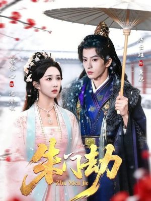 朱门劫（60集）爱上了这部剧了