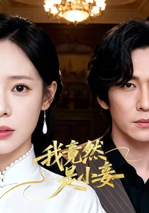 我竟然是小妾（47集）温柔追捕短剧