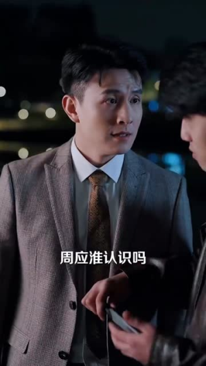 六年烬，情未绝（79集）在线观看