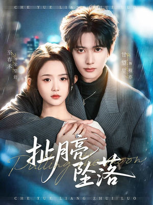 扯月亮坠落（81集）短剧在线观看