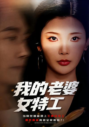 我的老婆女特工（62集）精彩短剧片段