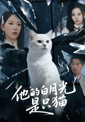 他的白月光是只猫（69集）好看到停不下来