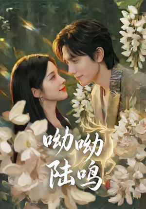 呦呦陆鸣（67集）精彩的网络短剧