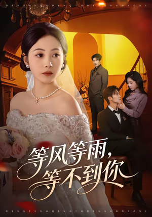 等风等雨,等不到你(65集) 等风等雨,等不到你(65集)解说