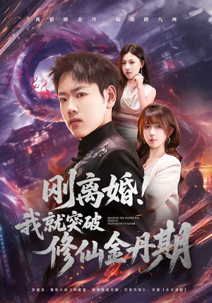 刚离婚！我就突破修仙金丹期（82集）短剧精彩绝伦