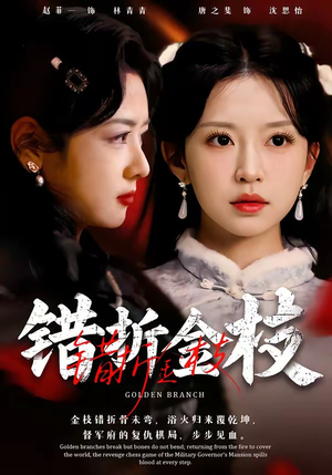 错折金枝（46集）看过的人都说好