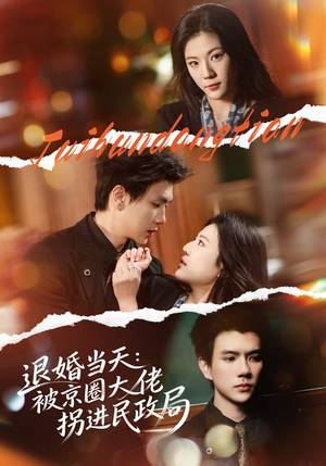 退婚当天：被京圈大佬拐进民政局（80集）在线观看完整版