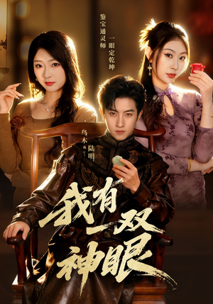 我有一双神眼（70集）360网盘观看